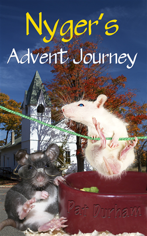 Book Cover Design by illuminati-design