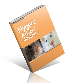 Book Cover Design by kelvinotis