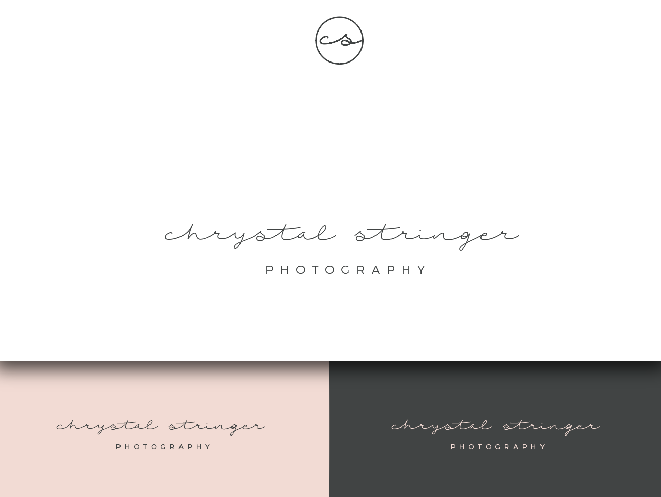 Logo-Design von wonderland für Chrystal Stringer Photography | Design #11472853