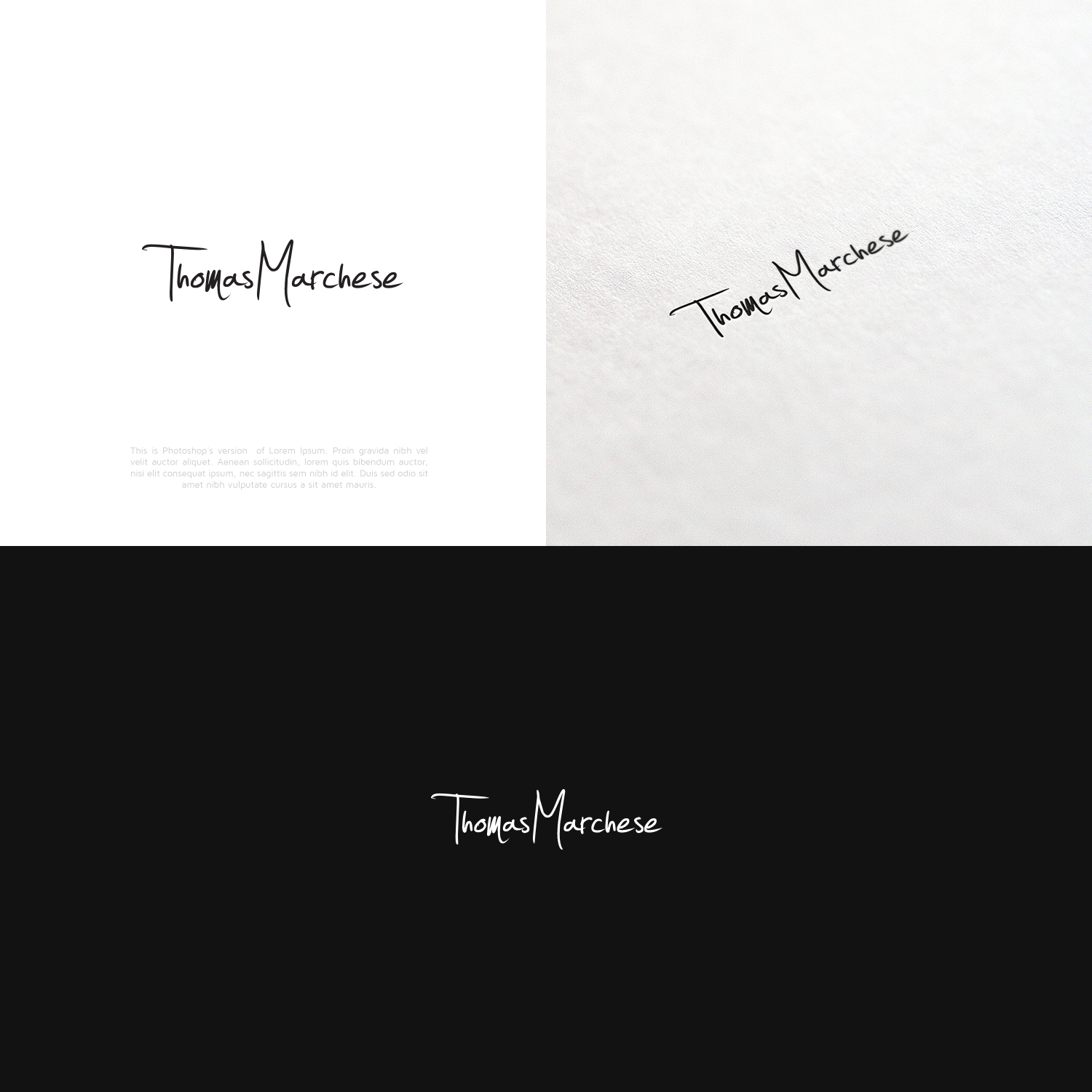 Design de Logo par lorixart pour Soar Aerial Photography | Design #11462603