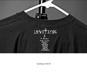 Logo Design by Meiri T. for Little lamb Ltd | Design: #2372407