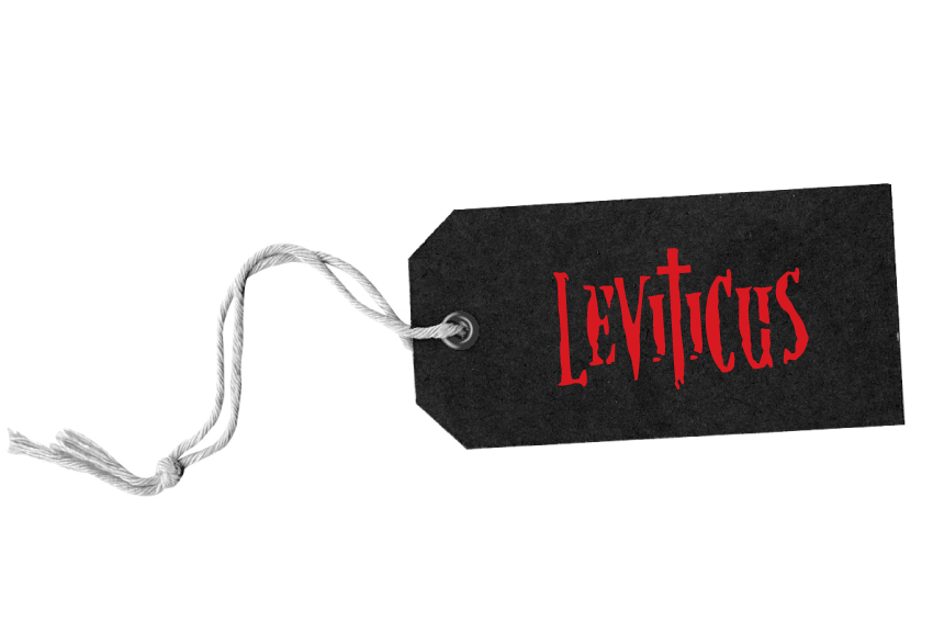 Logo Design by Kay for Little lamb Ltd | Design #2400835