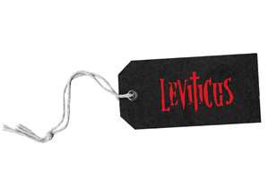 Logo Design by Kay for Little lamb Ltd | Design: #2400835