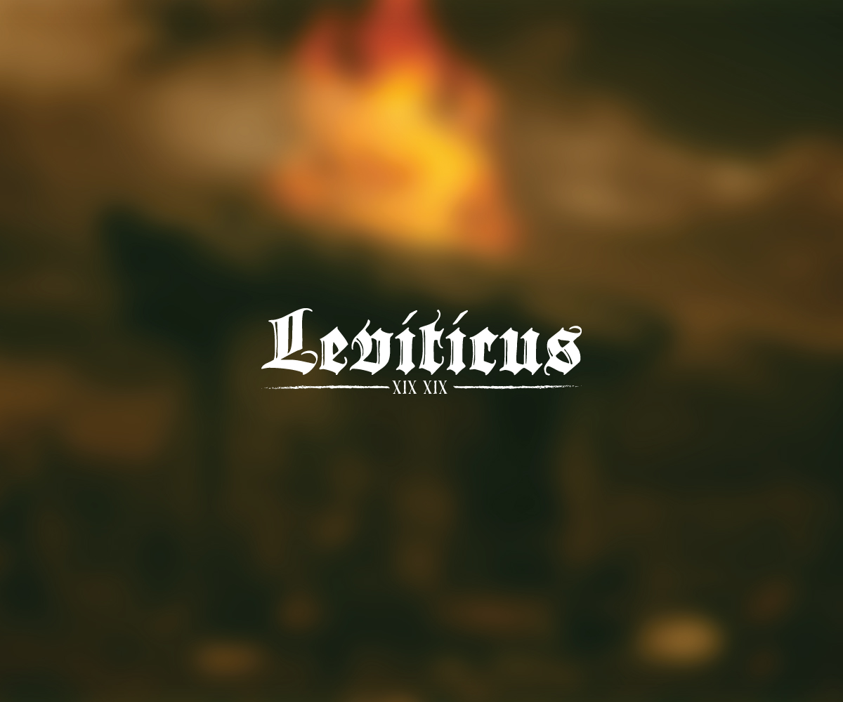 Diseño de Logo por L'Anonyme para Little lamb Ltd | Diseño #2382039