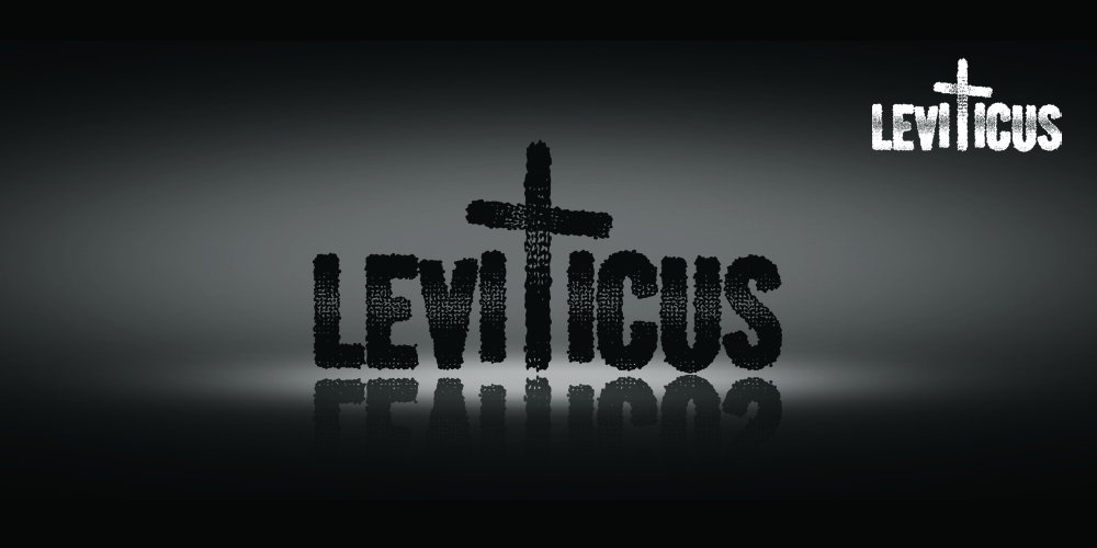 Logo Design by wall-jamboree for Little lamb Ltd | Design #2334275