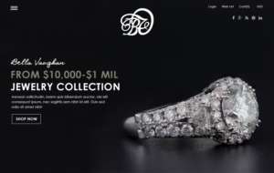 Web Design by Xclusive Designers for PhysVisible | Design: #12141186
