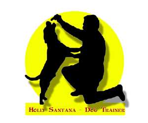 Logo Design by  Chathuranga Pramod