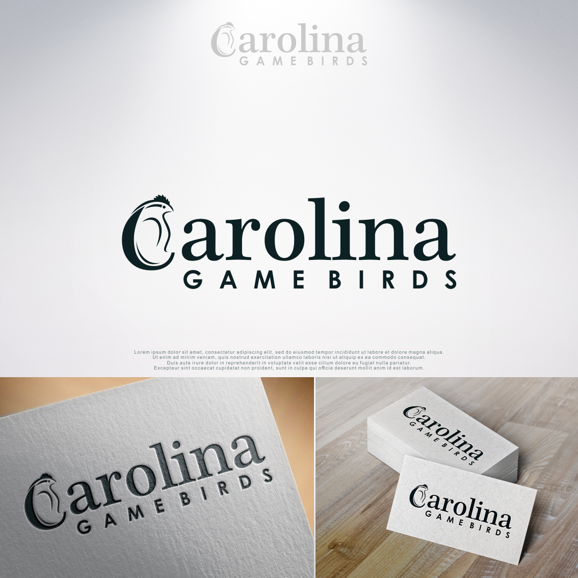 Logo Design by lewy-s for this project | Design #11599859