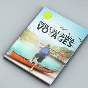 Brochure Design by vondon