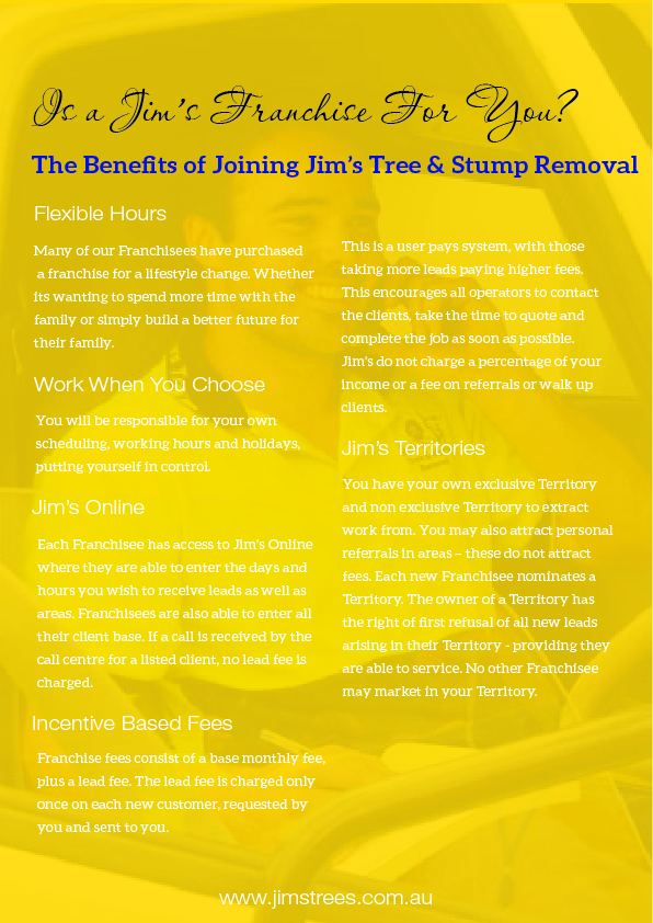 Diseño de Flyer por imgaurav92 para este proyecto | Diseño #11477971