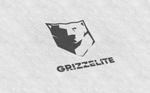 Logo Design by Dan Chiriac