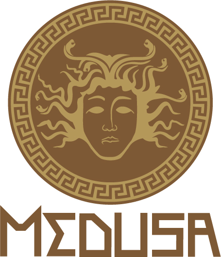 Logo Design by full360 for MEDUSA | Design #24446