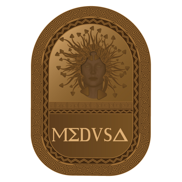 Logo Design by Simply Simple Design  for MEDUSA | Design #24239