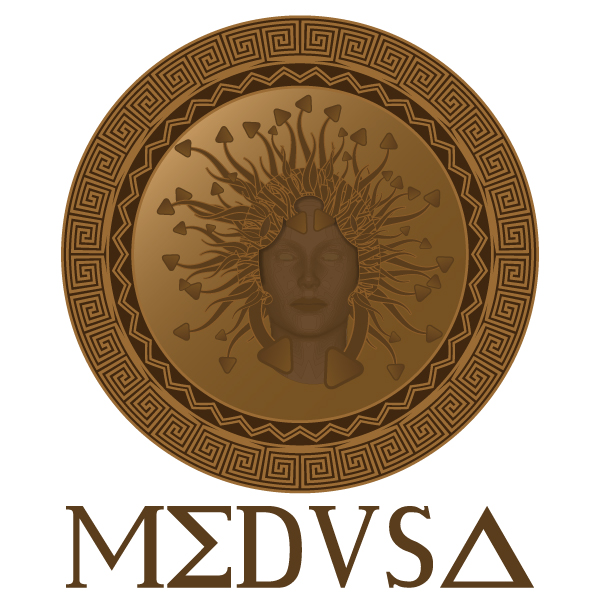 Logo Design by Simply Simple Design  for MEDUSA | Design #24240