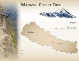 Diseño Gráfico por Kreeshtin para este proyecto | Diseño: #11498992