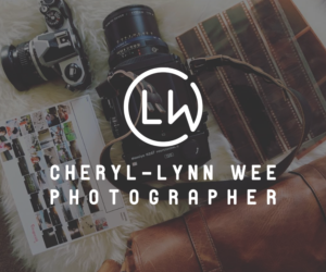 Logo Design by Michael List Design