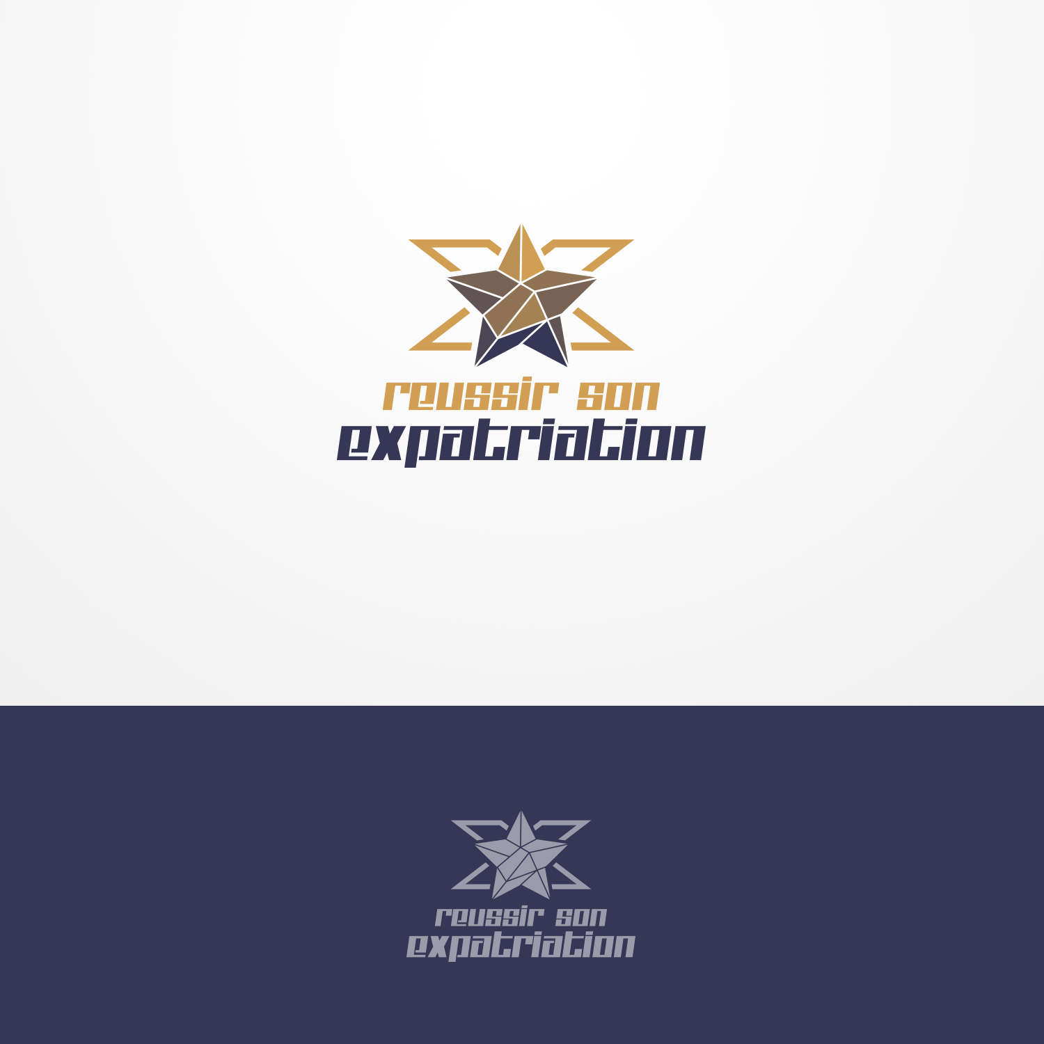 Logo-Design von Grapismo Brand Studio für dieses Projekt | Design #11728243