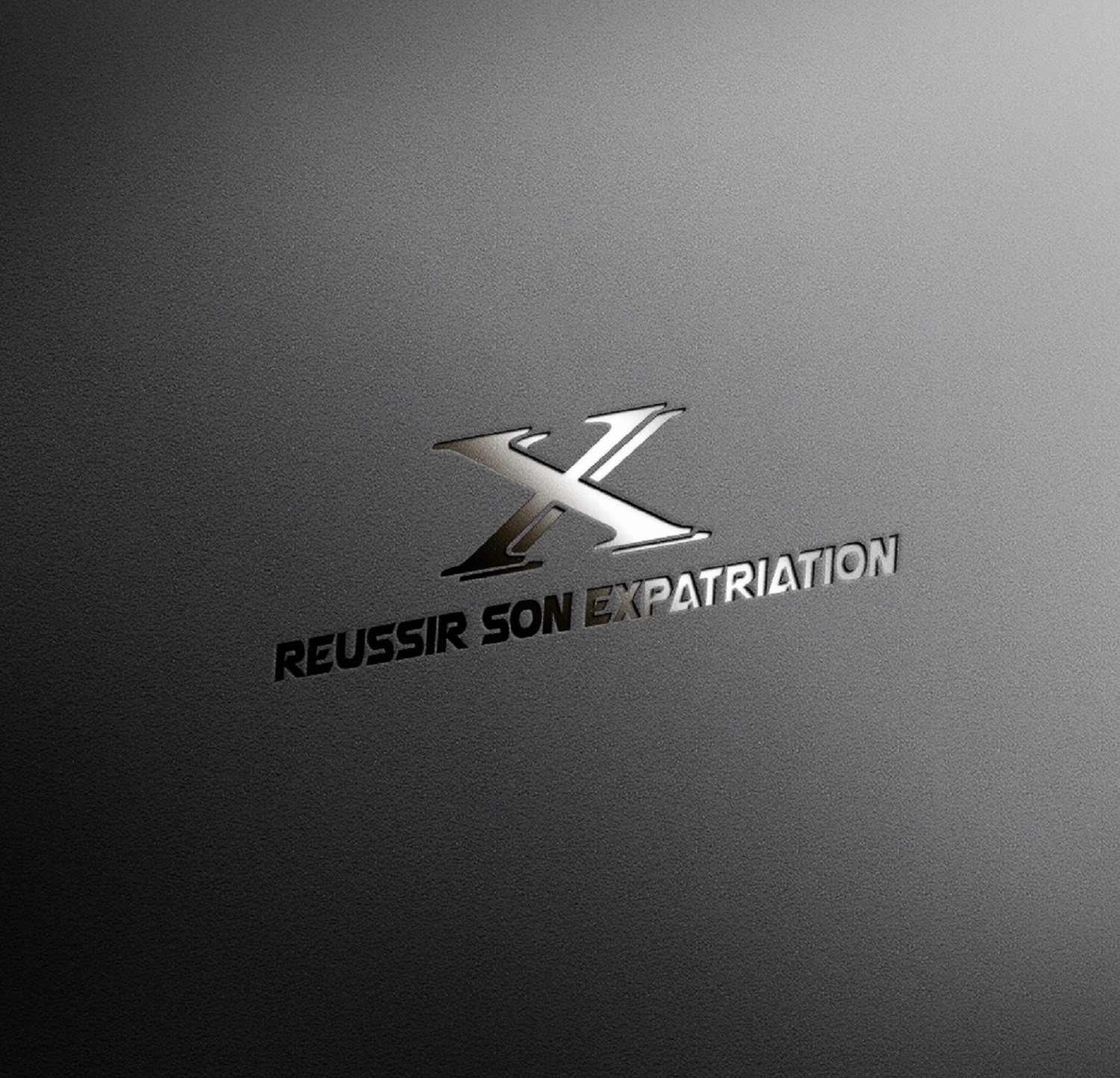 Diseño de Logo por LaLinea para este proyecto | Diseño #11701612