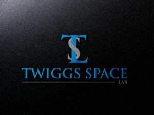 Logo Design by D.C. SOLUTION. for this project | Design: #11537766