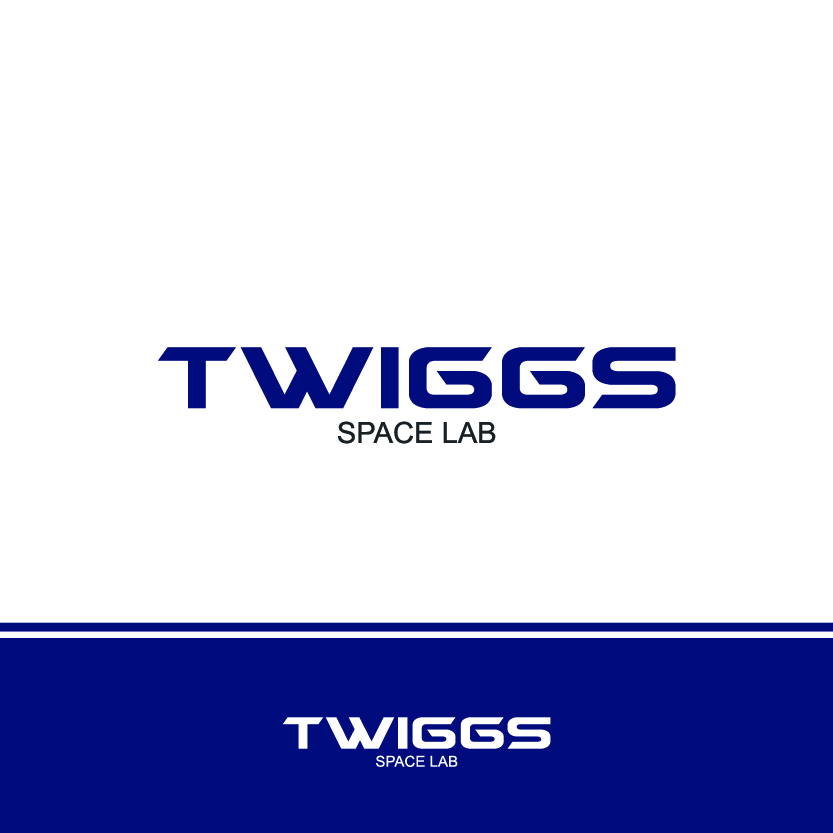 Logo Design by Valber for this project | Design #11611161