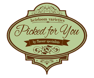 Logo Design by PixieWizard