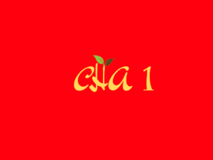 Logo Design by sam han