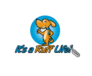 Logo Design by blue eye