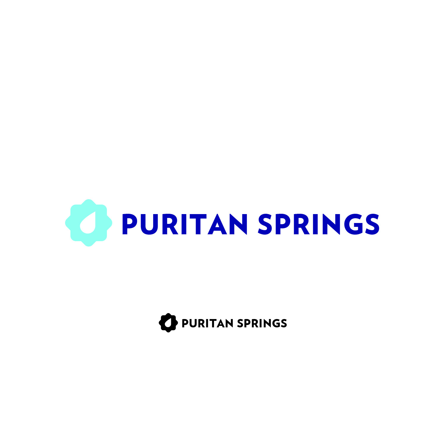 Logo Design by masher for Puritan Springs | Design #11599900