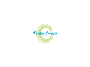 Design de Logo par dii pour Puritan Springs | Design : #11592234