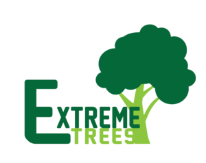 Logo Design by NG KIA HUI for this project | Design #11597687