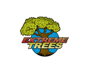 Logo Design by blue eye