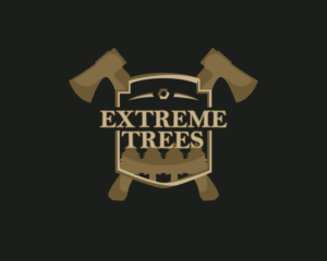 Logo-Design von Amos Youail für dieses Projekt | Design: #11552931