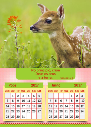 Print Design by Parul for A Verdade | Design: #11551012