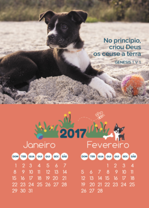 Print Design by eriks for A Verdade | Design: #11555538