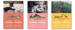 Print Design by eriks for A Verdade | Design: #11555578