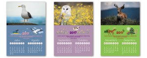 Design a Brazilian children's Bible calendar for 2017 | Print Design by eriks