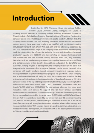 Flyer-Design von Black Stallions Impressive Solutions für dieses Projekt | Design #11616174