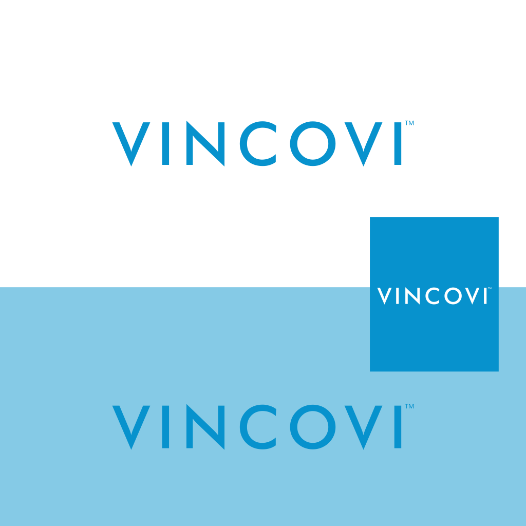 Logo Design by ChinMaya for VINCOVI Technology Solutions Inc | Design #11781802