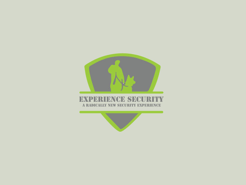 Logo Design by rabinson for Arrow Security Corp | Design #11553648