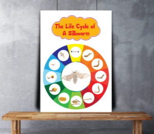 Poster Design by uk for Aussie Fauna | Design: #11584313