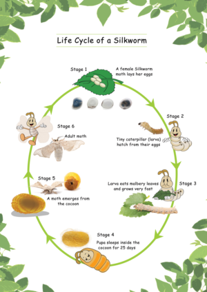 Poster Design by Da Miracle for Aussie Fauna | Design: #11595096