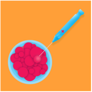 Illustration Design by Shardul Bind