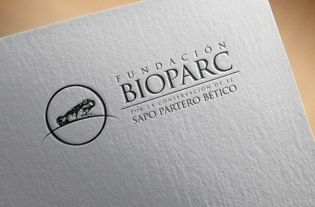 Logo Design by GLDesigns for Rain Forest s.l. | Design #11566991