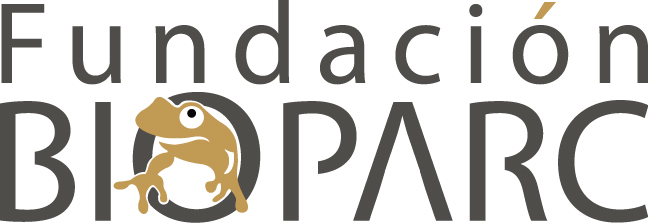 Logo Design by gsvirajgs for Rain Forest s.l. | Design #11566405