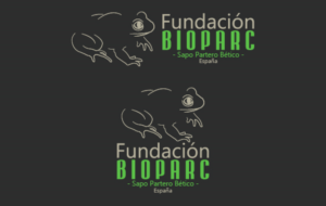 Logo Design by Cristhiam92 for Rain Forest s.l. | Design: #11577966