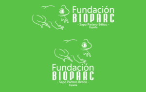 Diseño de Logo por Cristhiam92 para Rain Forest s.l. | Diseño: #11577967