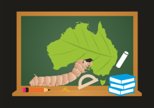 Graphic Design by Tijana M. for Aussie Fauna | Design: #11649911