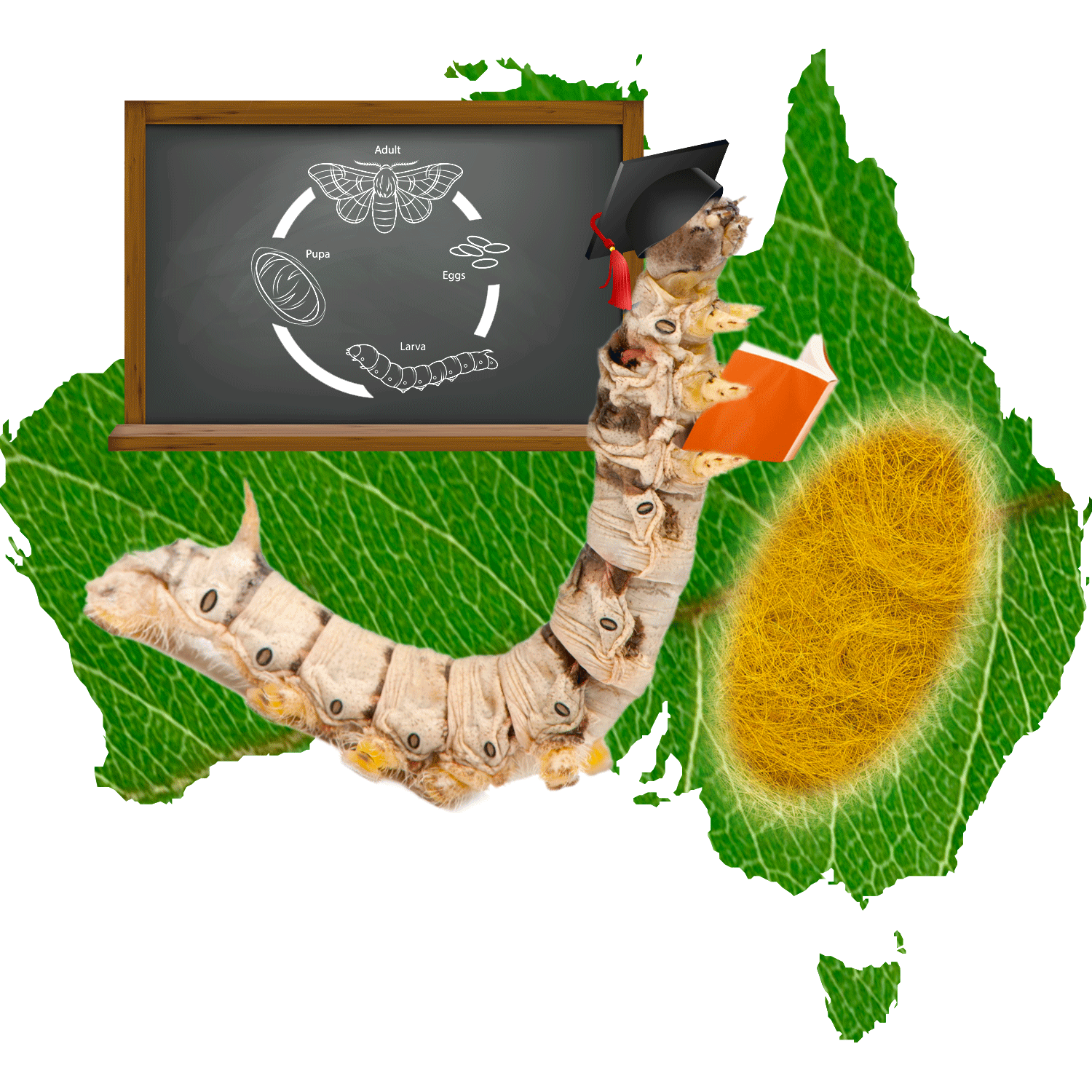 Graphic Design by Annie Creative Service for Aussie Fauna | Design #11594147