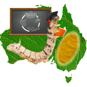 Graphic Design by Annie Creative Service for Aussie Fauna | Design: #11594147