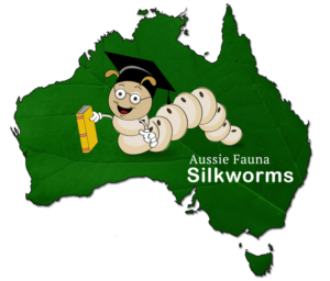 Graphic Design by Da Miracle for Aussie Fauna | Design: #11685825